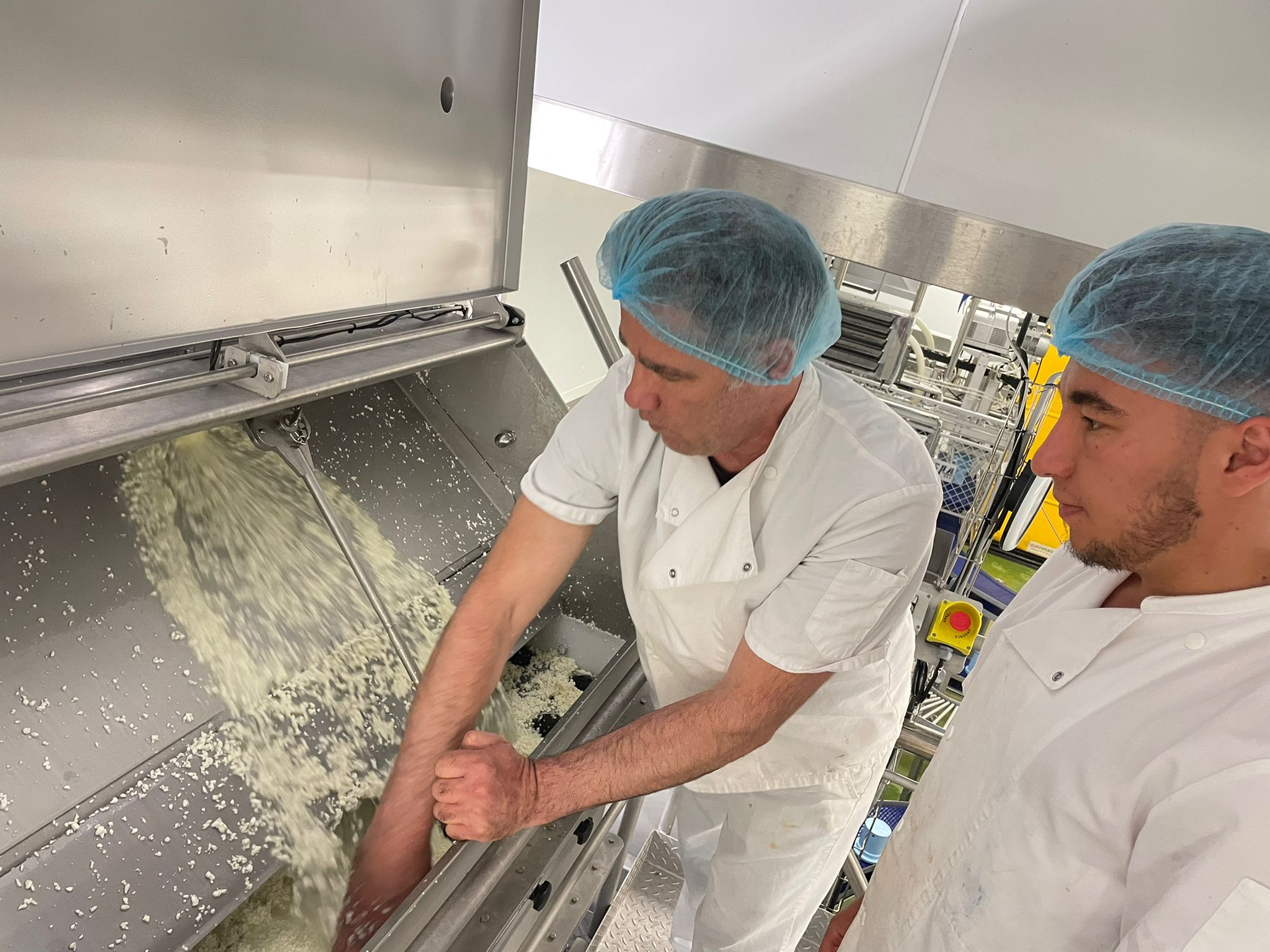 Artisant mélangeant le fromage